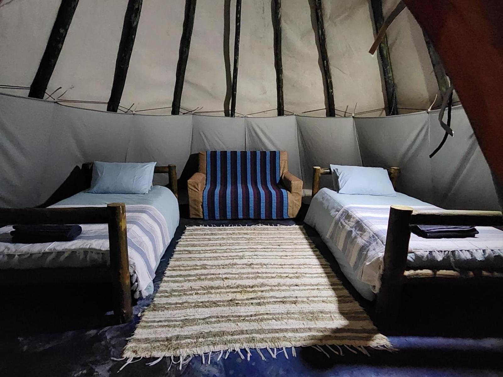 Tsitsikamma Wolf Sanctuary Eco Cabins & Teepees Stormsrivier Exterior foto