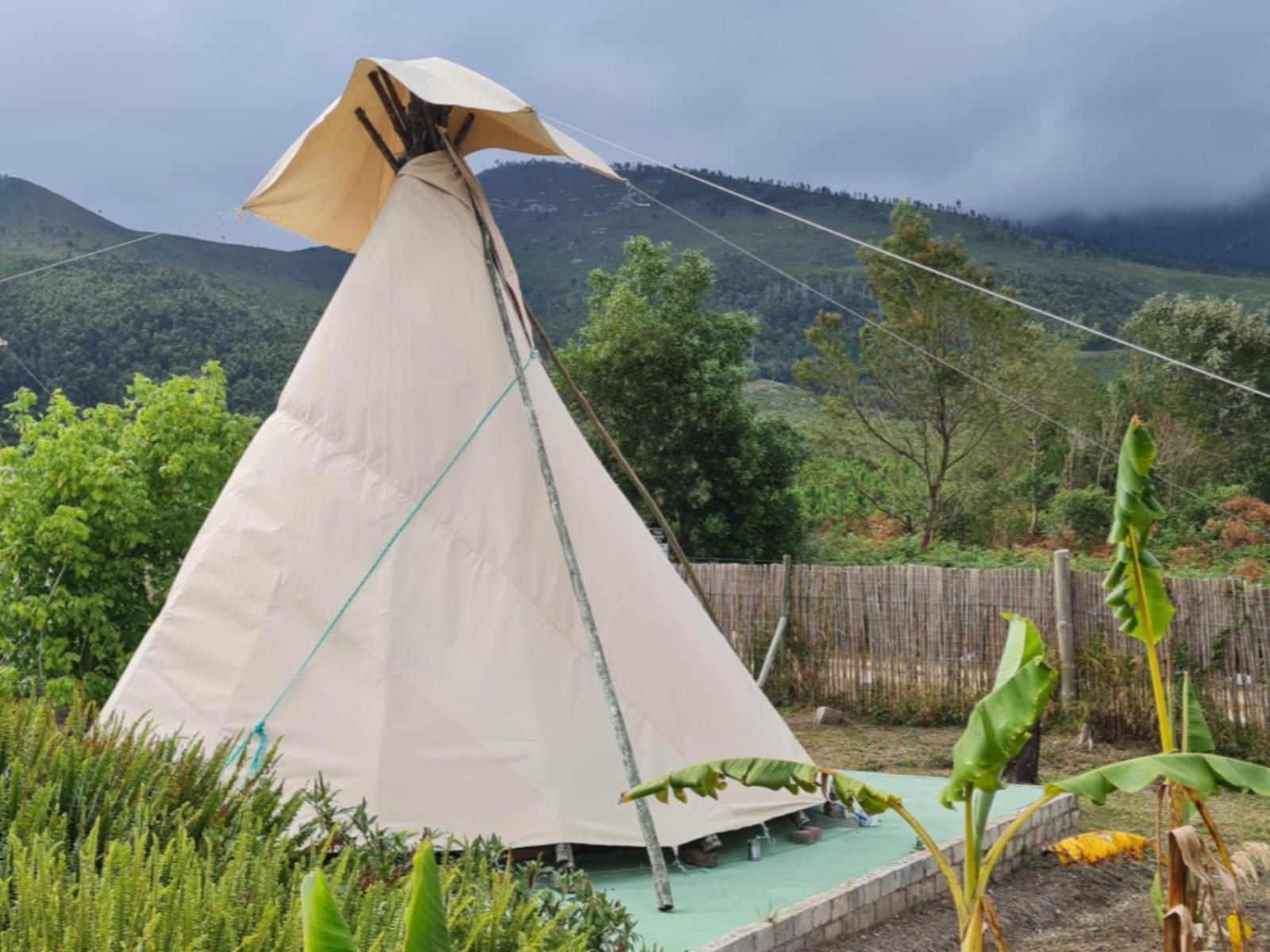 Tsitsikamma Wolf Sanctuary Eco Cabins & Teepees Stormsrivier Exterior foto