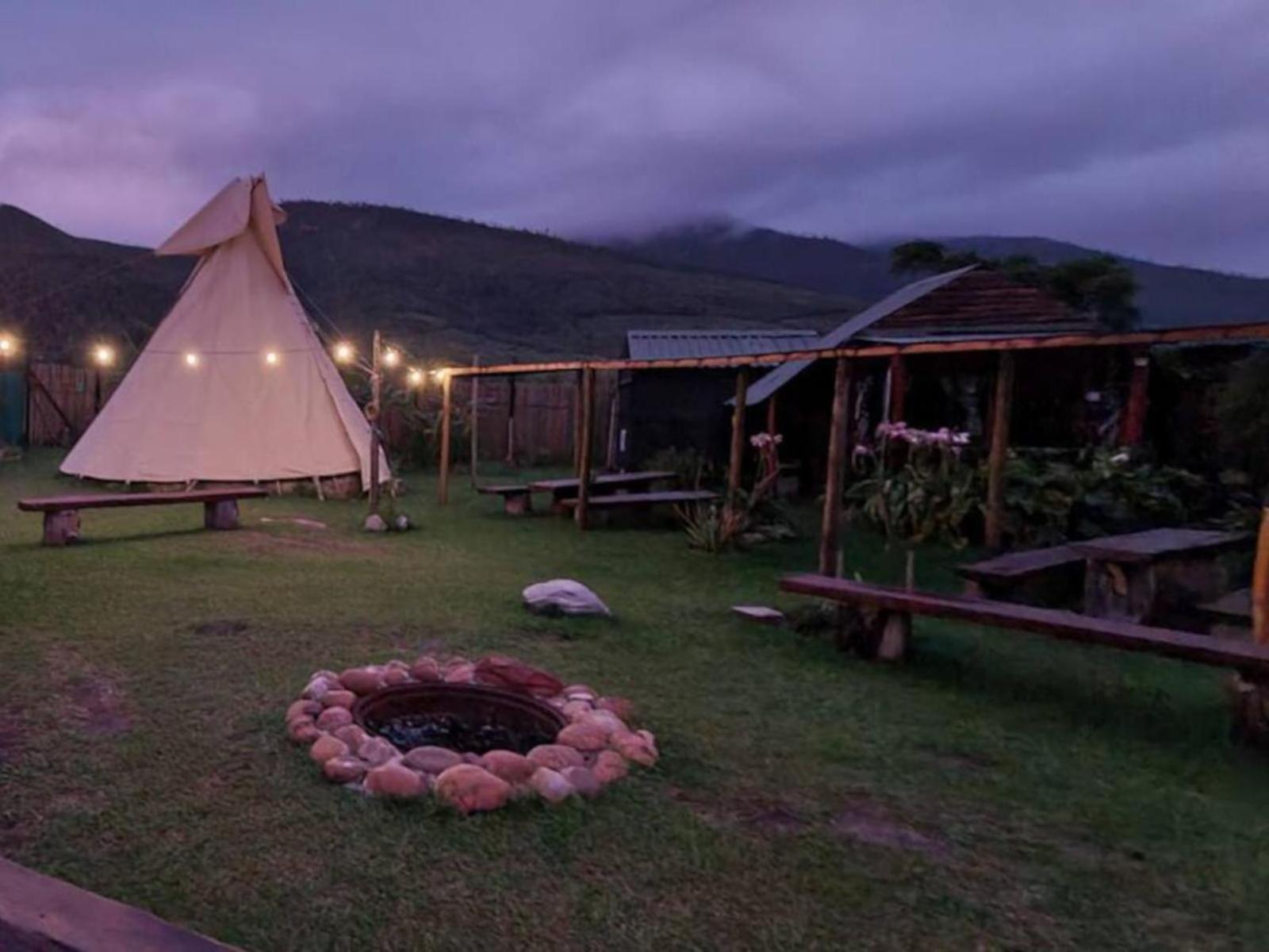 Tsitsikamma Wolf Sanctuary Eco Cabins & Teepees Stormsrivier Exterior foto