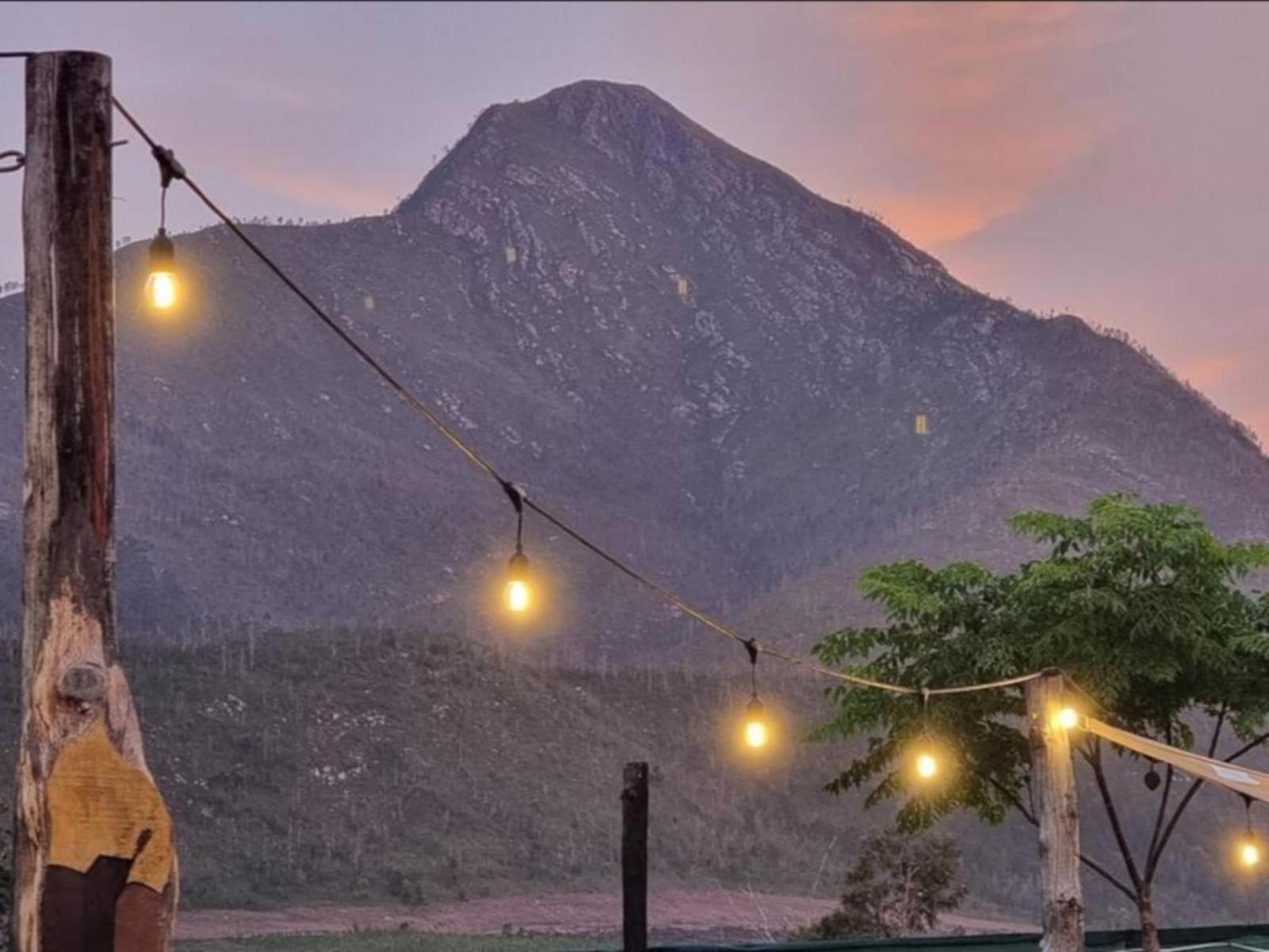 Tsitsikamma Wolf Sanctuary Eco Cabins & Teepees Stormsrivier Exterior foto
