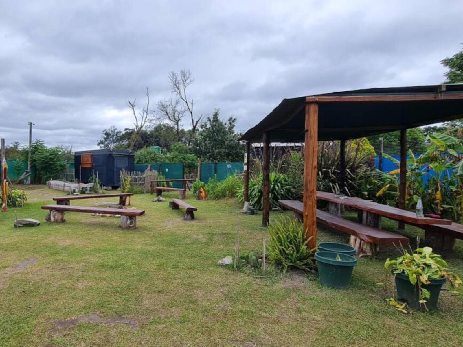 Tsitsikamma Wolf Sanctuary Eco Cabins & Teepees Stormsrivier Exterior foto