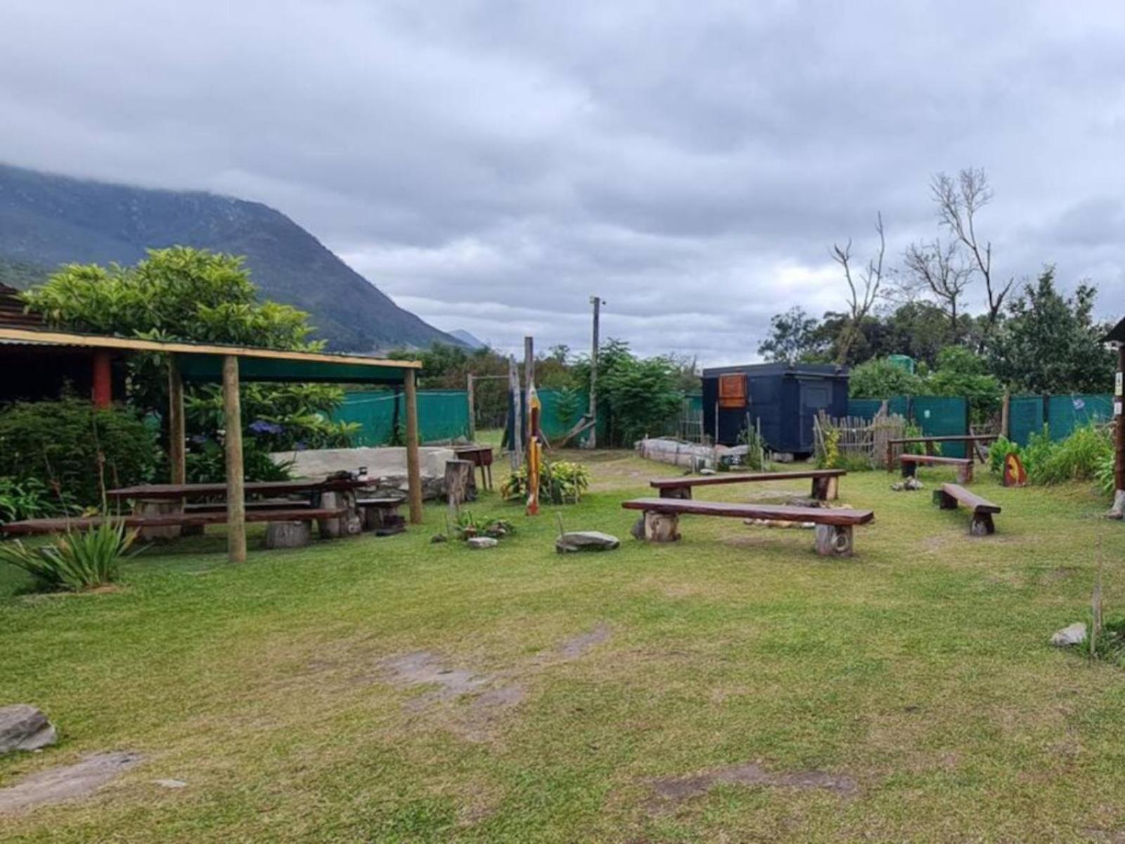 Tsitsikamma Wolf Sanctuary Eco Cabins & Teepees Stormsrivier Exterior foto