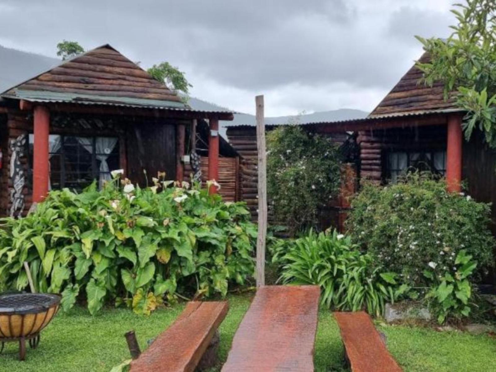 Tsitsikamma Wolf Sanctuary Eco Cabins & Teepees Stormsrivier Exterior foto