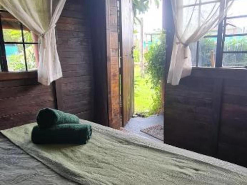 Tsitsikamma Wolf Sanctuary Eco Cabins & Teepees Stormsrivier Zimmer foto