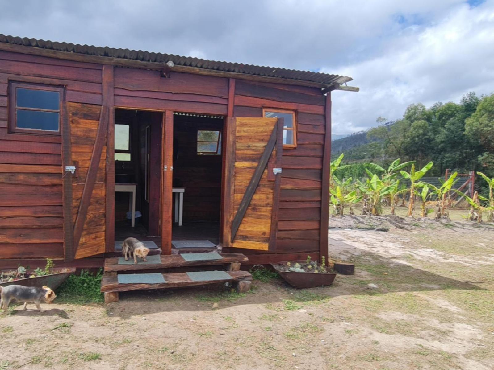 Tsitsikamma Wolf Sanctuary Eco Cabins & Teepees Stormsrivier Zimmer foto