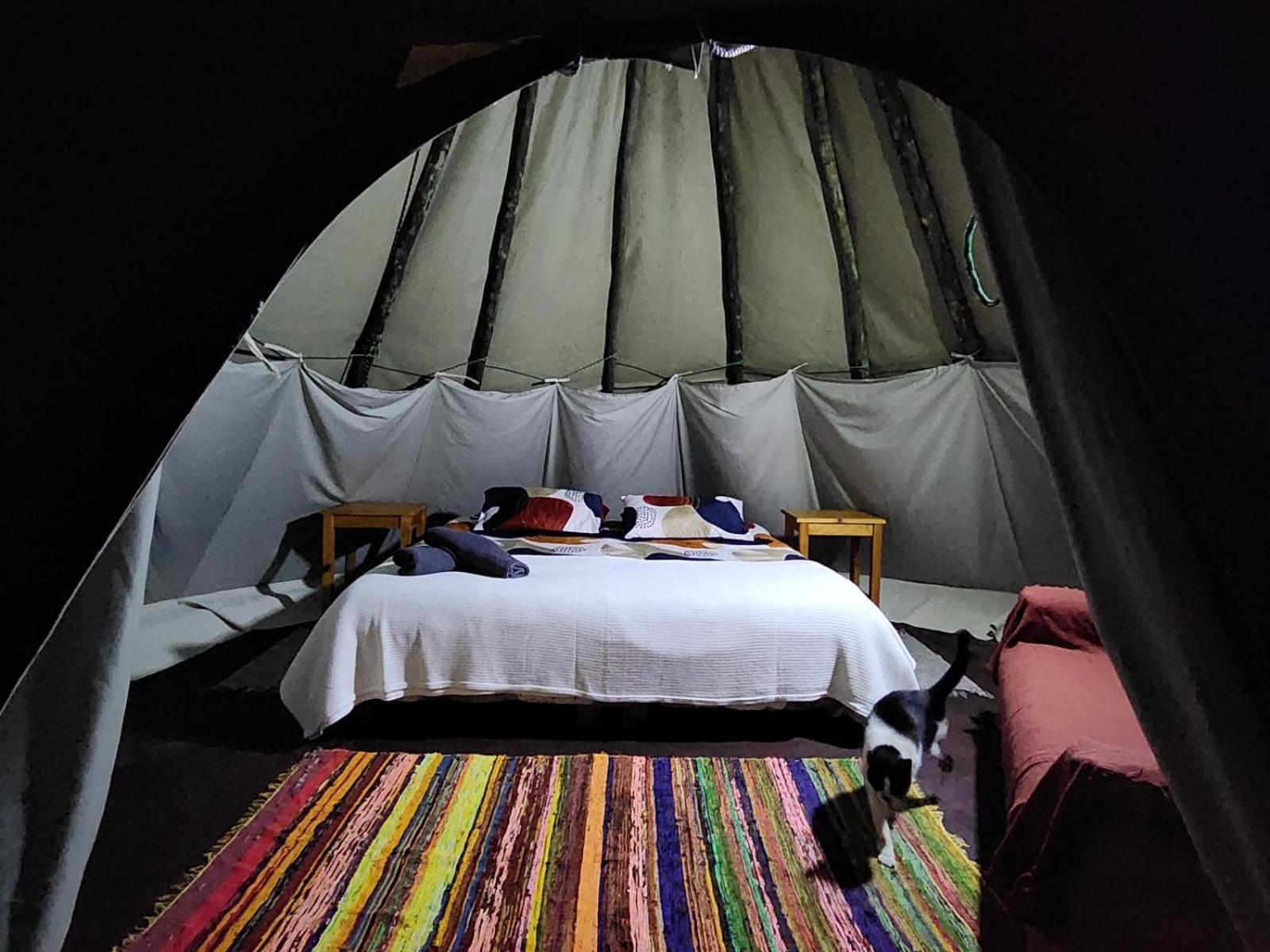 Tsitsikamma Wolf Sanctuary Eco Cabins & Teepees Stormsrivier Zimmer foto