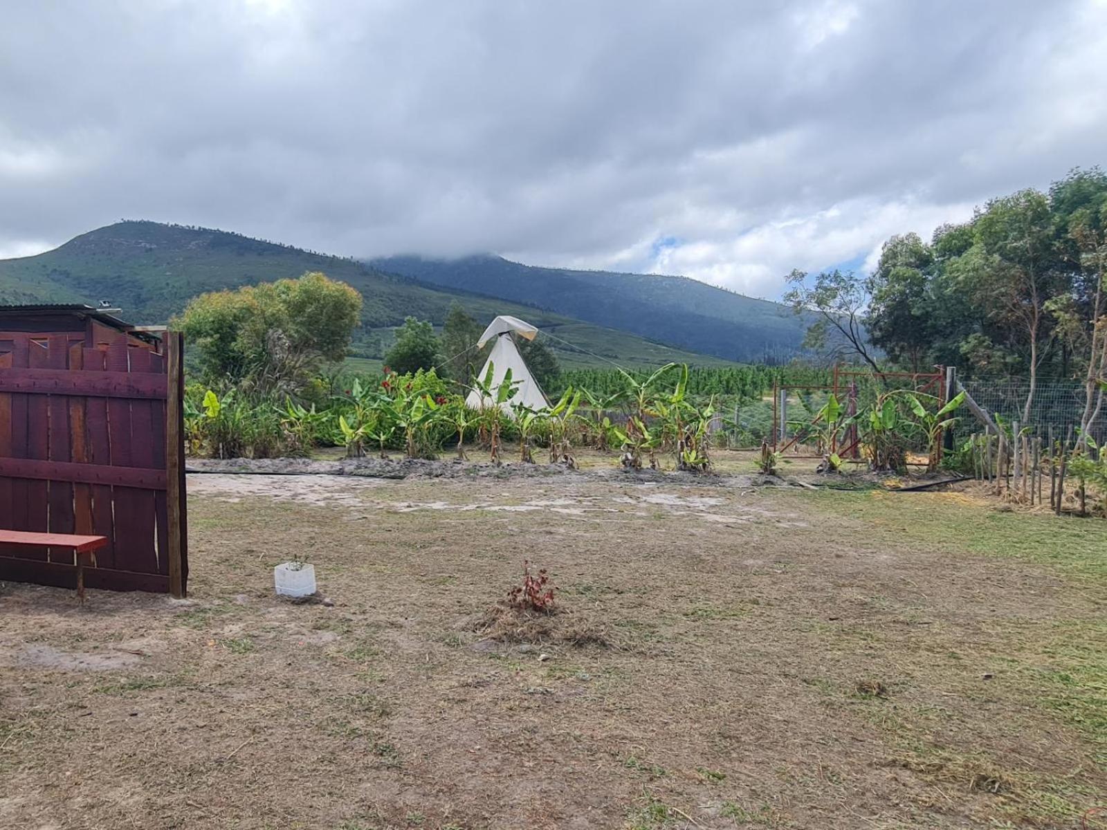 Tsitsikamma Wolf Sanctuary Eco Cabins & Teepees Stormsrivier Zimmer foto